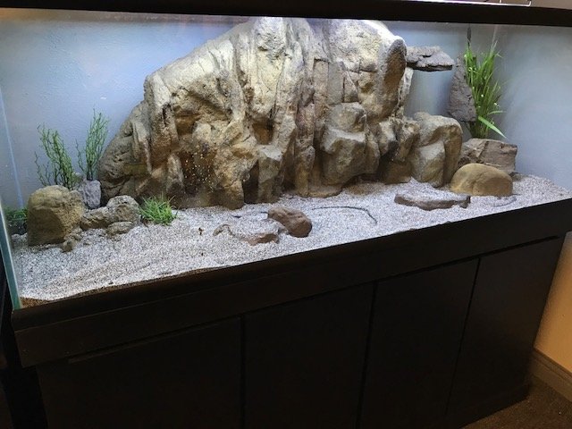 Background Feature Rock