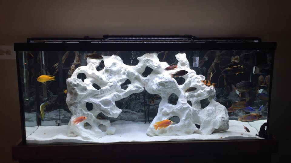 faux white rock with holes in fish tank and goldfish