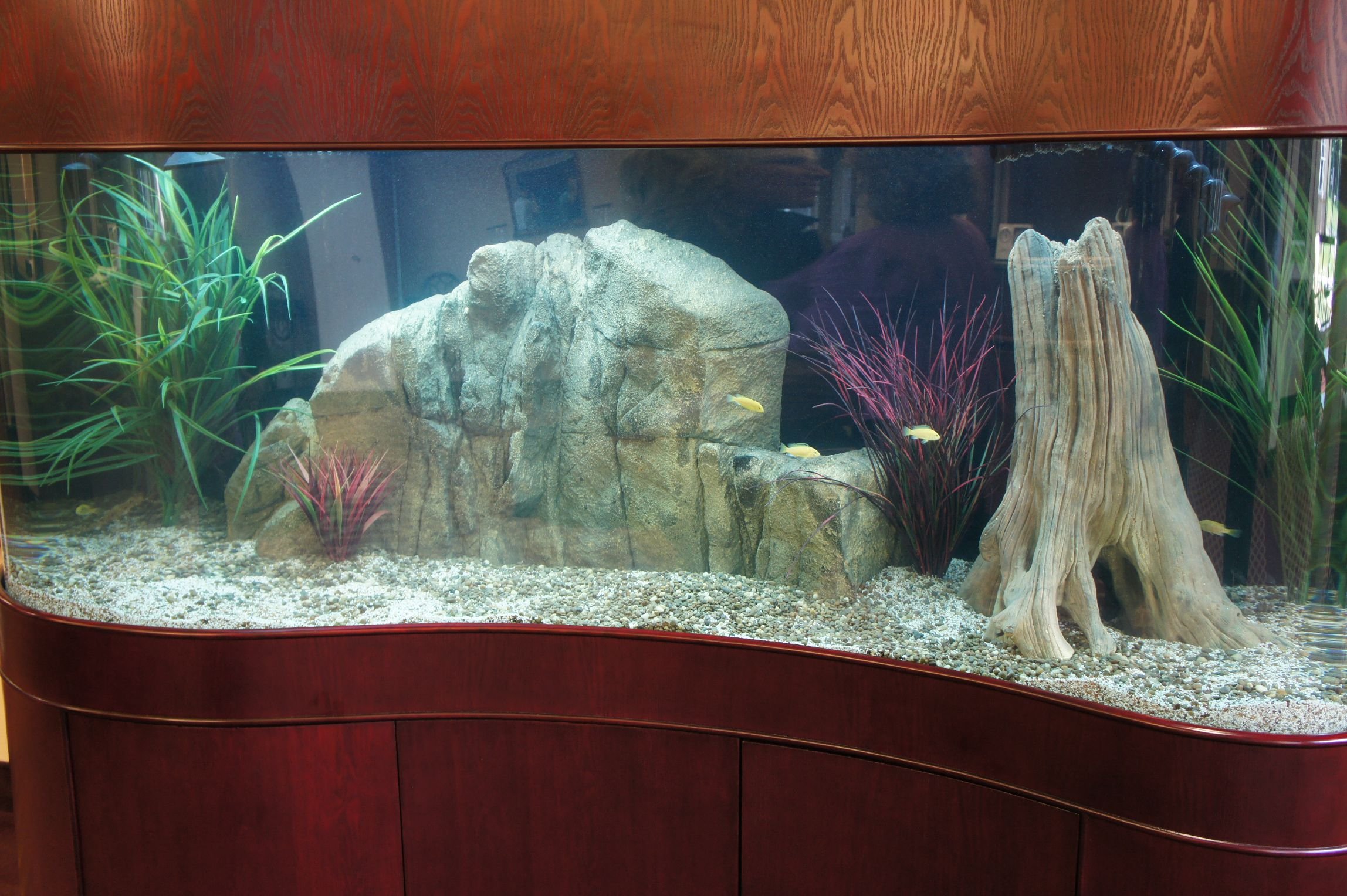 large faux feature rock in aquarium with plants
