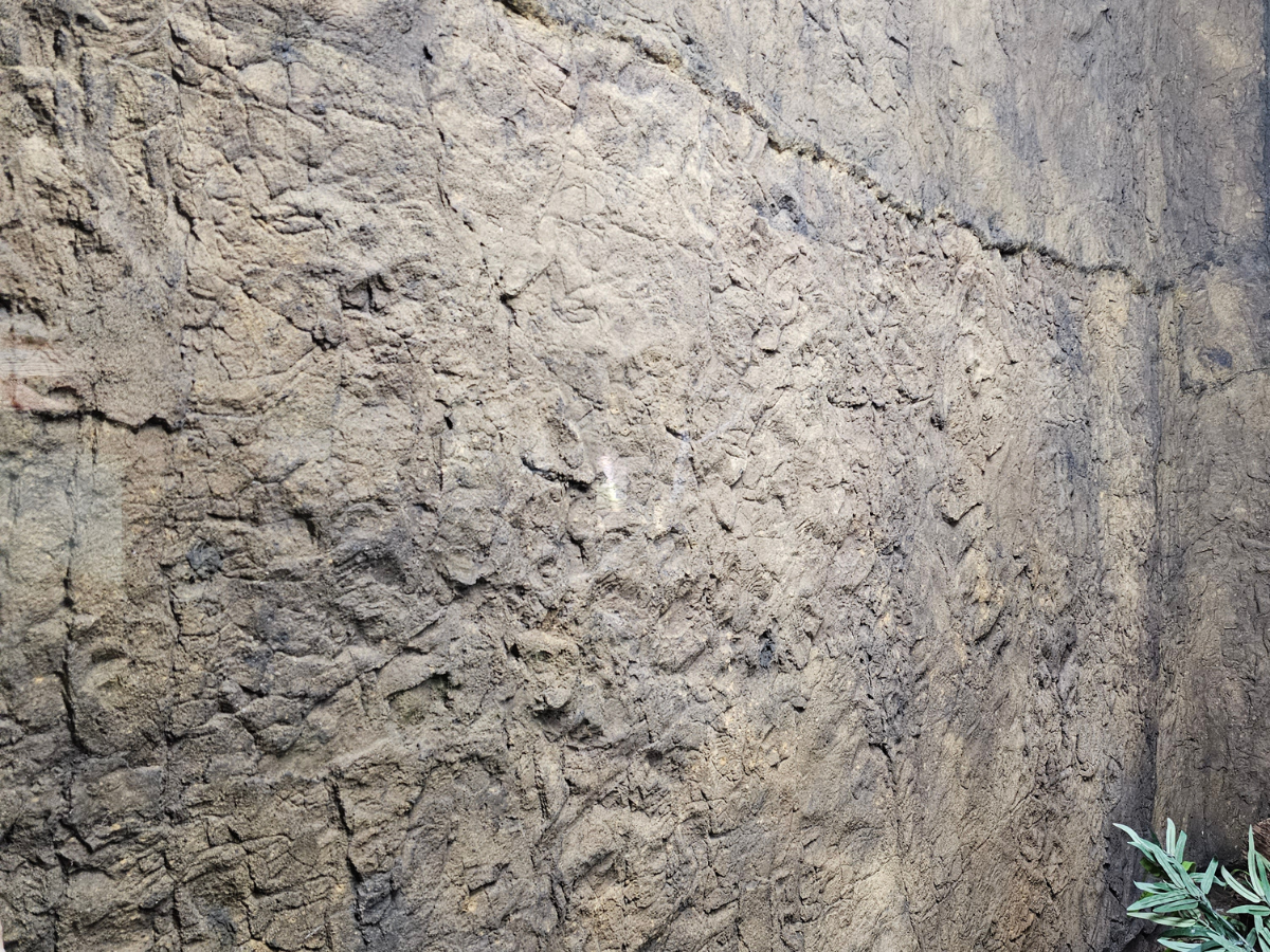 Rocky Rock Wall Panel 10' x 6'