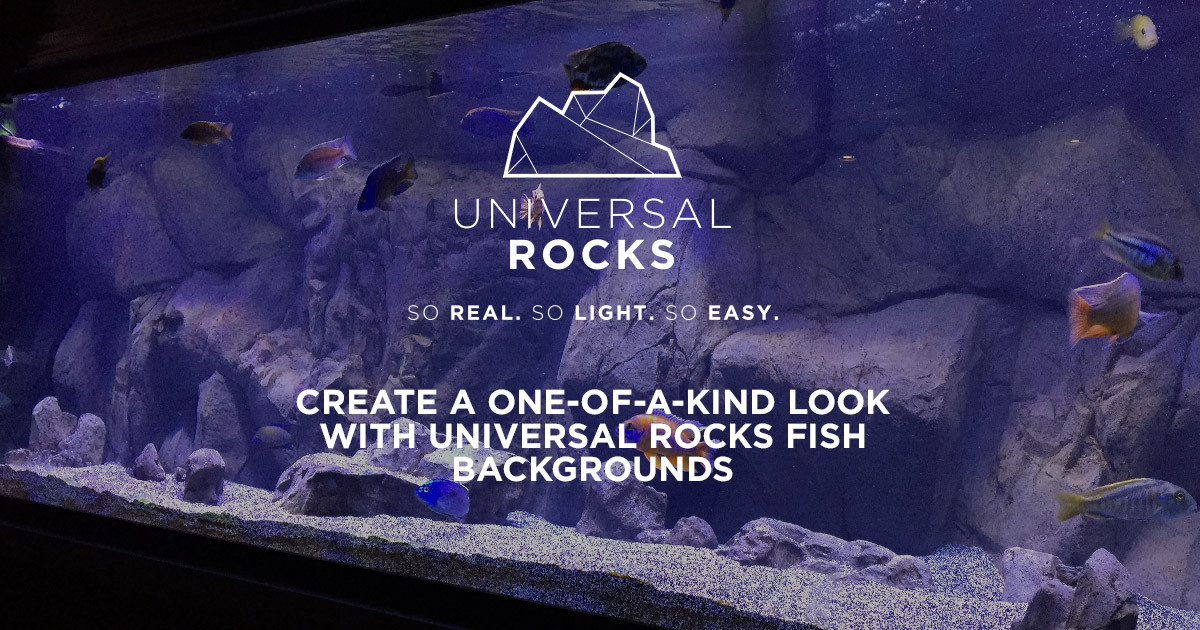 tropical aquarium tank with artificial rock background panel