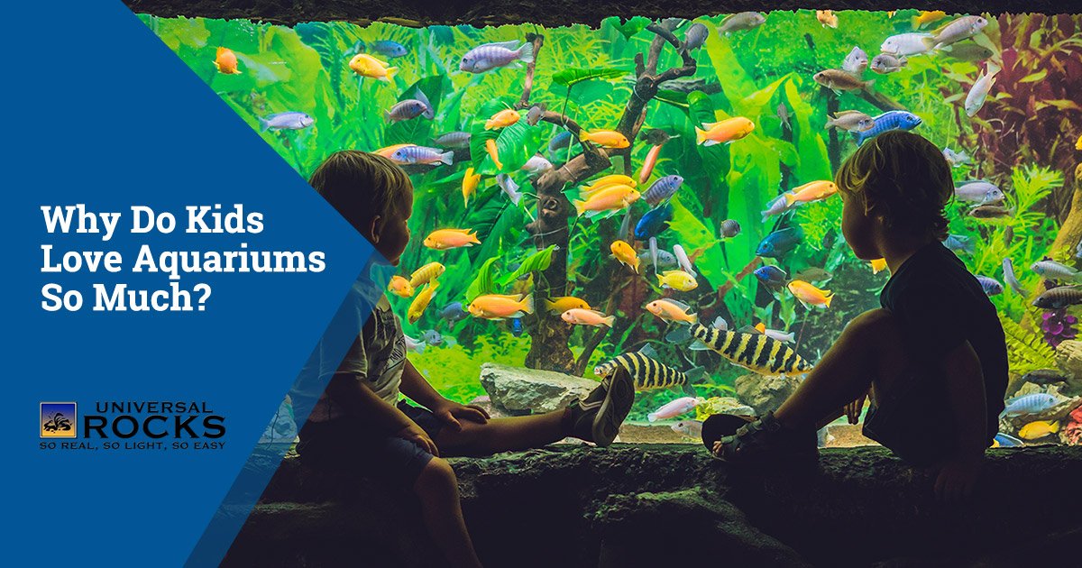 Buy Awesome Aquariums for kids!