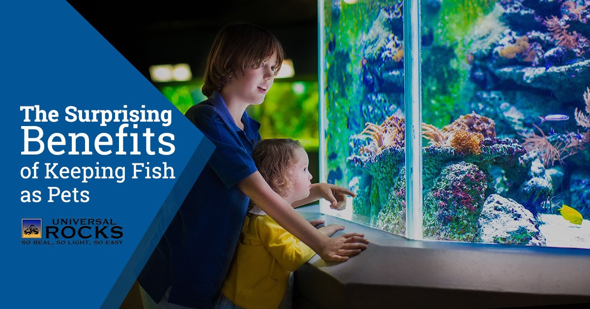 Benefits of Keeping Fish as Pets