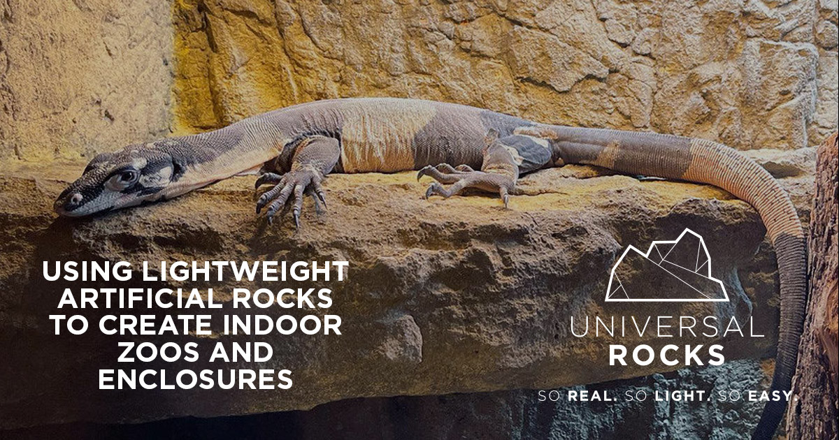 large lizard resting on artificial rock habitat