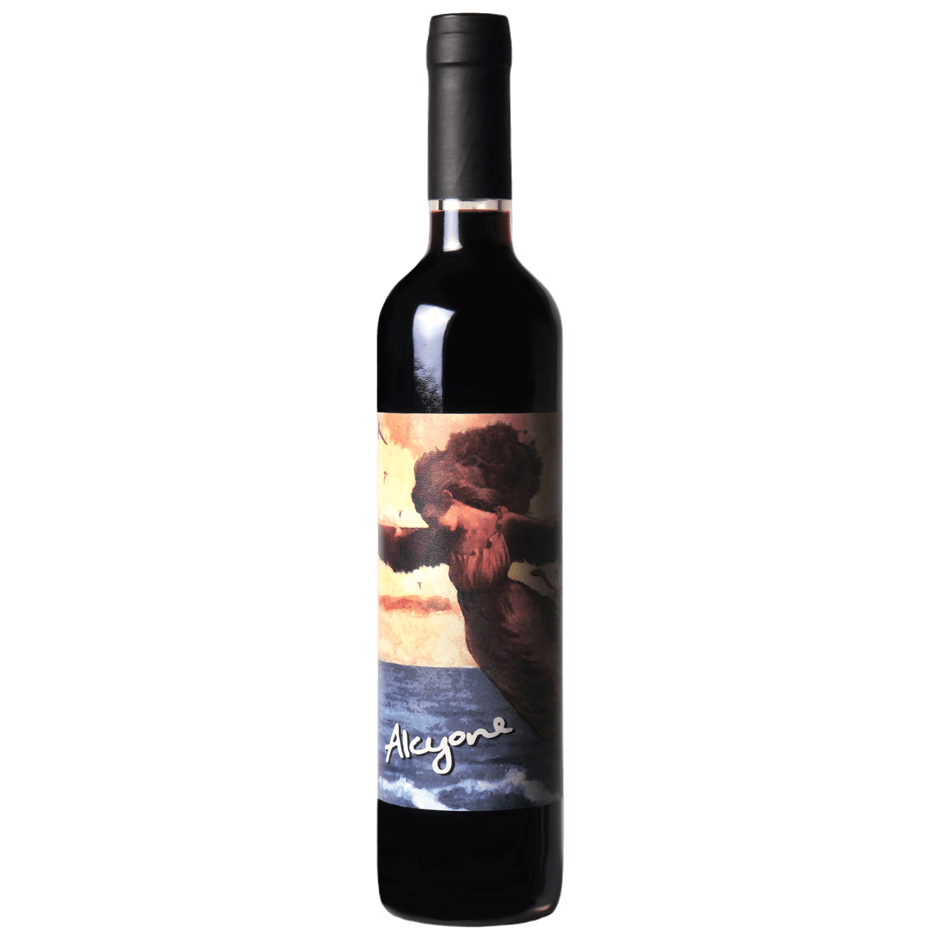 VIñedo De Los Vientos Alcyone Tannat Dessert Wine 500ml