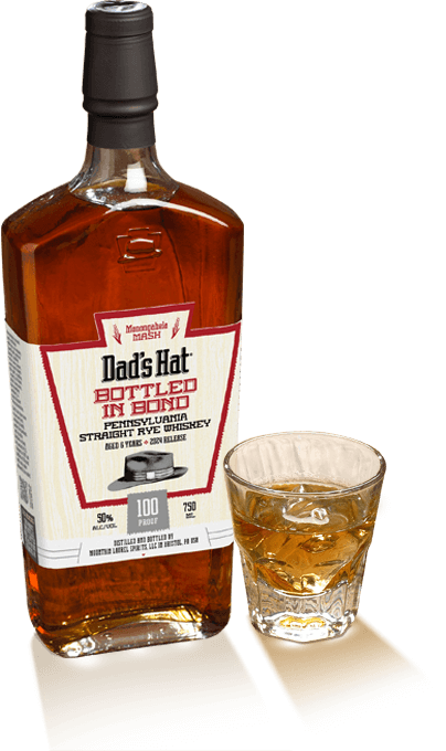 Dad's Hat Bib  Rye 750