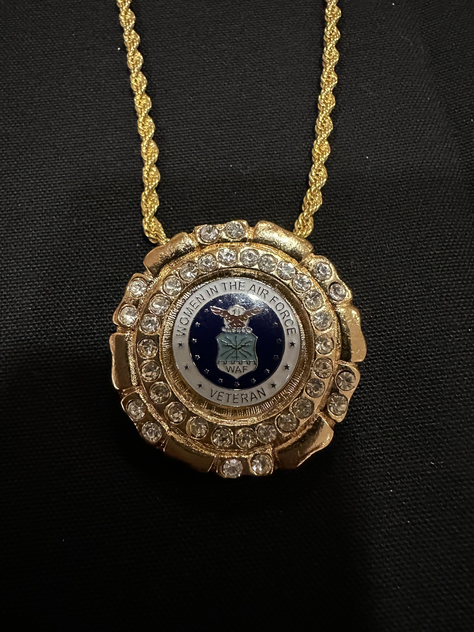 WAF Women of the AirForce  Veteran (pin and pendant medallion only )$69