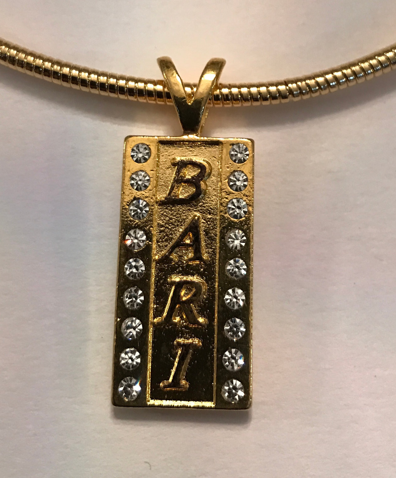 Bari Dog Tag Medallion