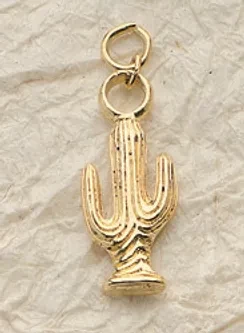 Cactus Charm Pair
