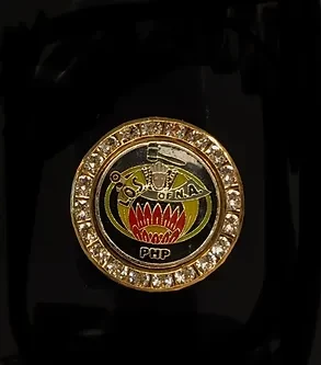 Ladies Oriental Shrine Crystal Lapel Pin