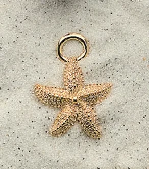 Chunky Starfish Charms  (priced per pair)