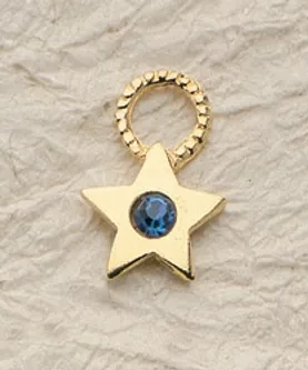 Sheriff Star Charm Pair
