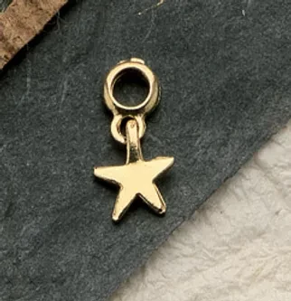 Swinging Star Charms $26  (priced per pair)