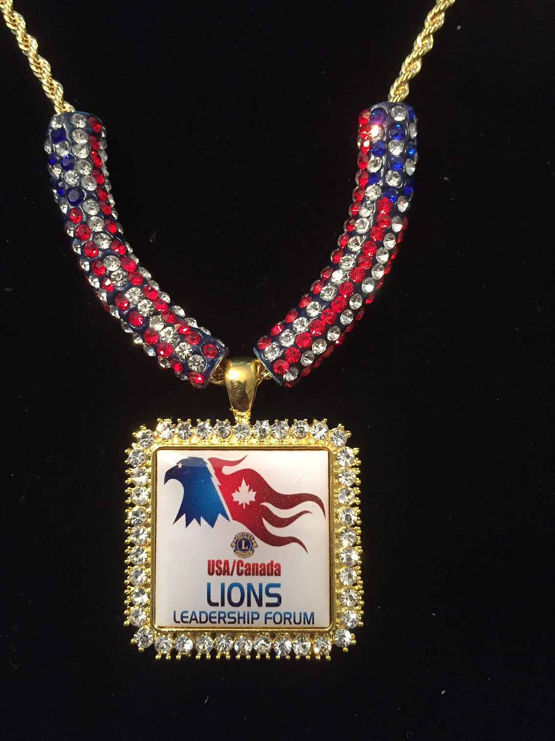 Lions USA Forum Medallion $69
