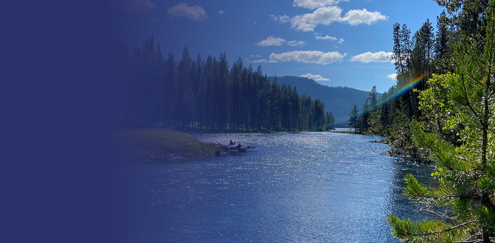 serene river flows through a forest with sunlight creating a rainbow effect over the water
