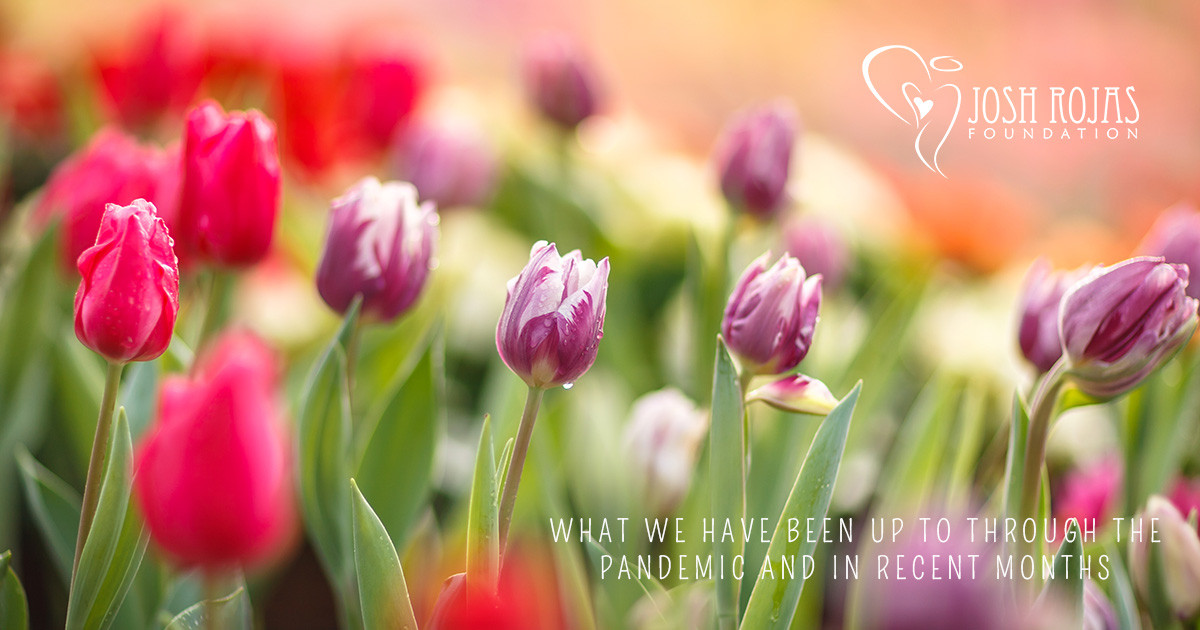 What We Have Been Up to Through the Pandemic and in Recent Months