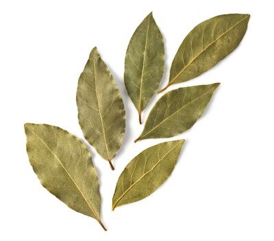 Photo of bay leaves food picture