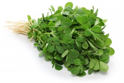 Photo of fenugreek leaves food picture