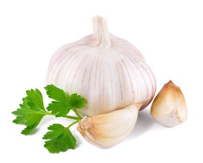 Photo of garlic food picture