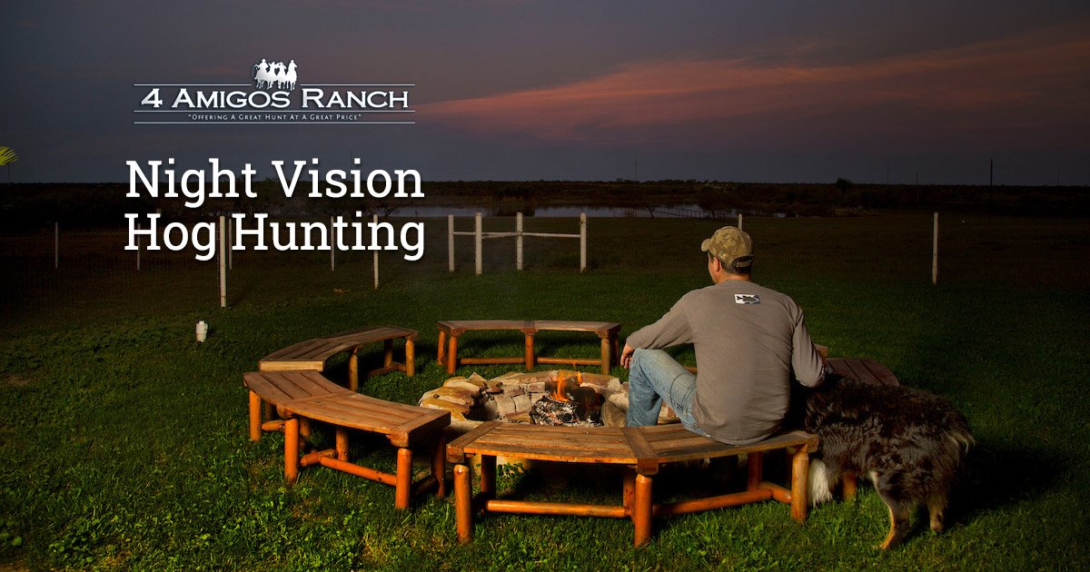 A Short Guide to the Night Vision Hog Hunt