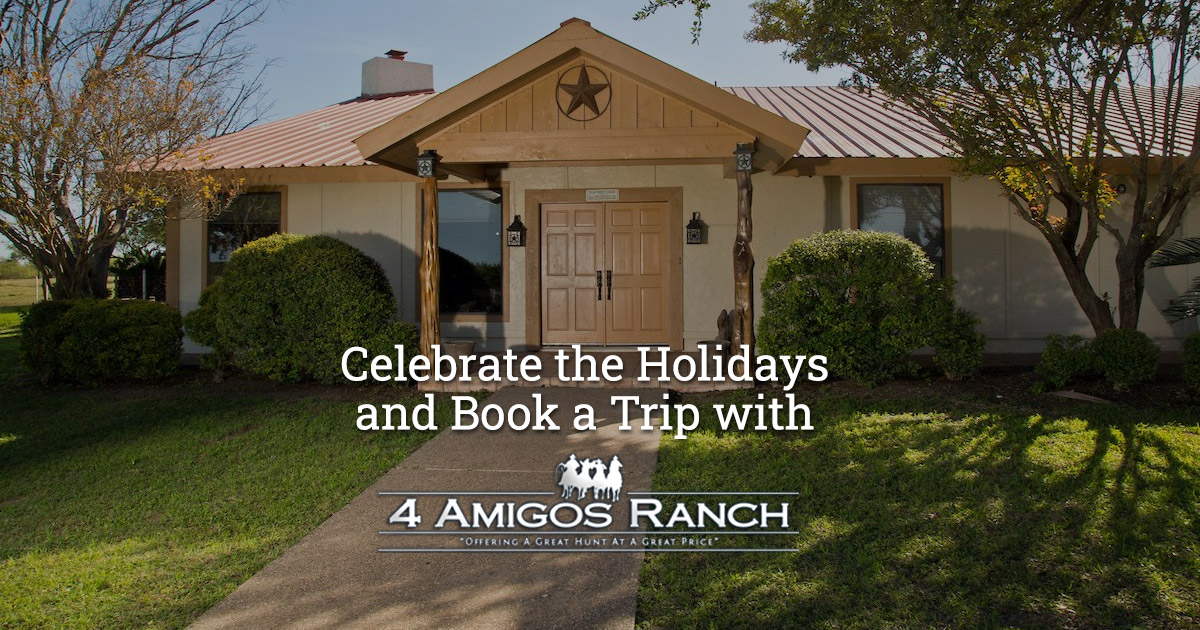 4 amigos ranch lodging