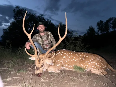 single hunter with axis buck at night