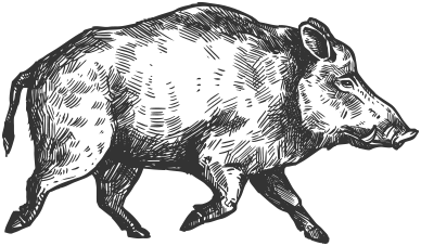 hog hunting eagle pass texas