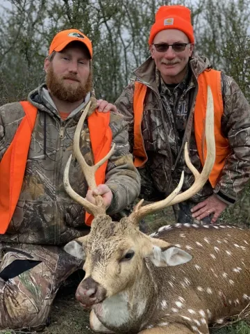 two hunters with axis buck