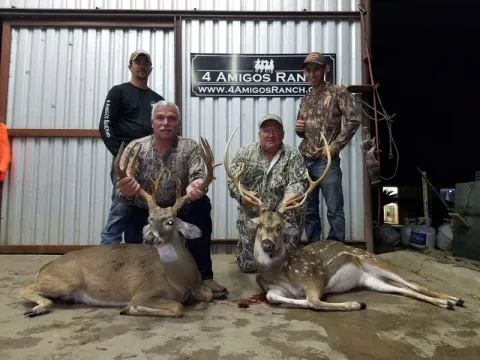 four hunters posing with axis bucks