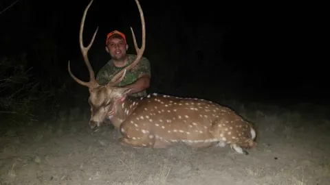 hunter in orange hat posing with trophy axis buck
