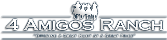 4 Amigos Ranch logo