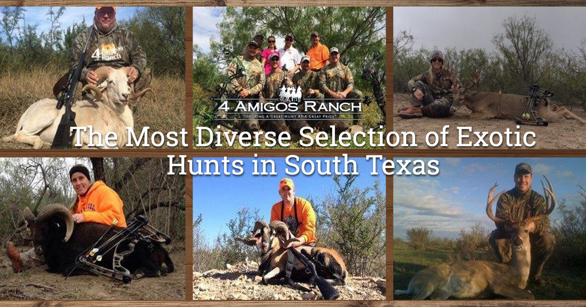 The Most Diverse Selection of Exotic Hunts in South Texas