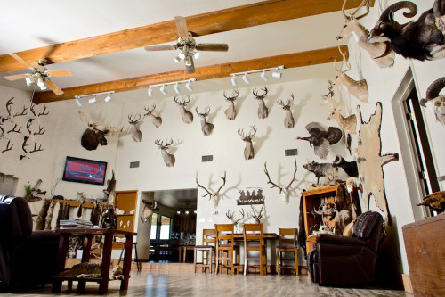 Hunting Lodge - Living Room