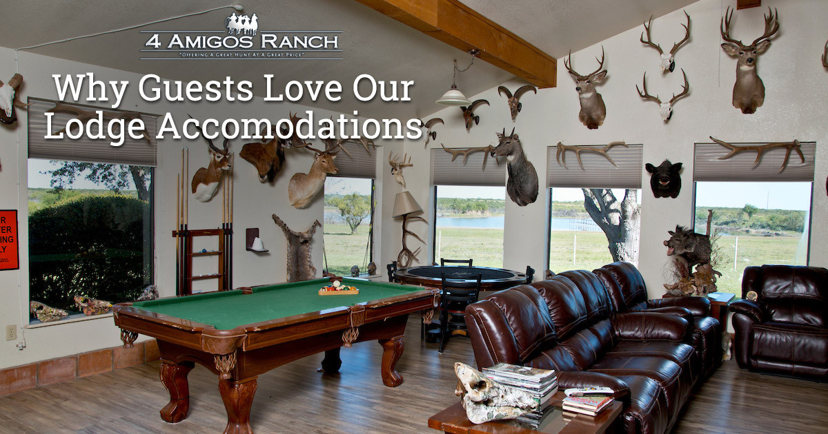 Why Guests Love 4 Amigos Ranch Lodge and Accommodations