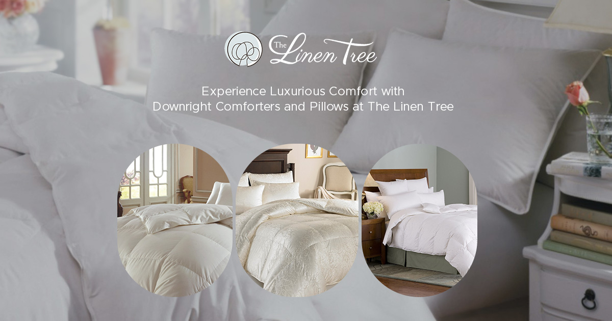 downright comforters at the linen tree
