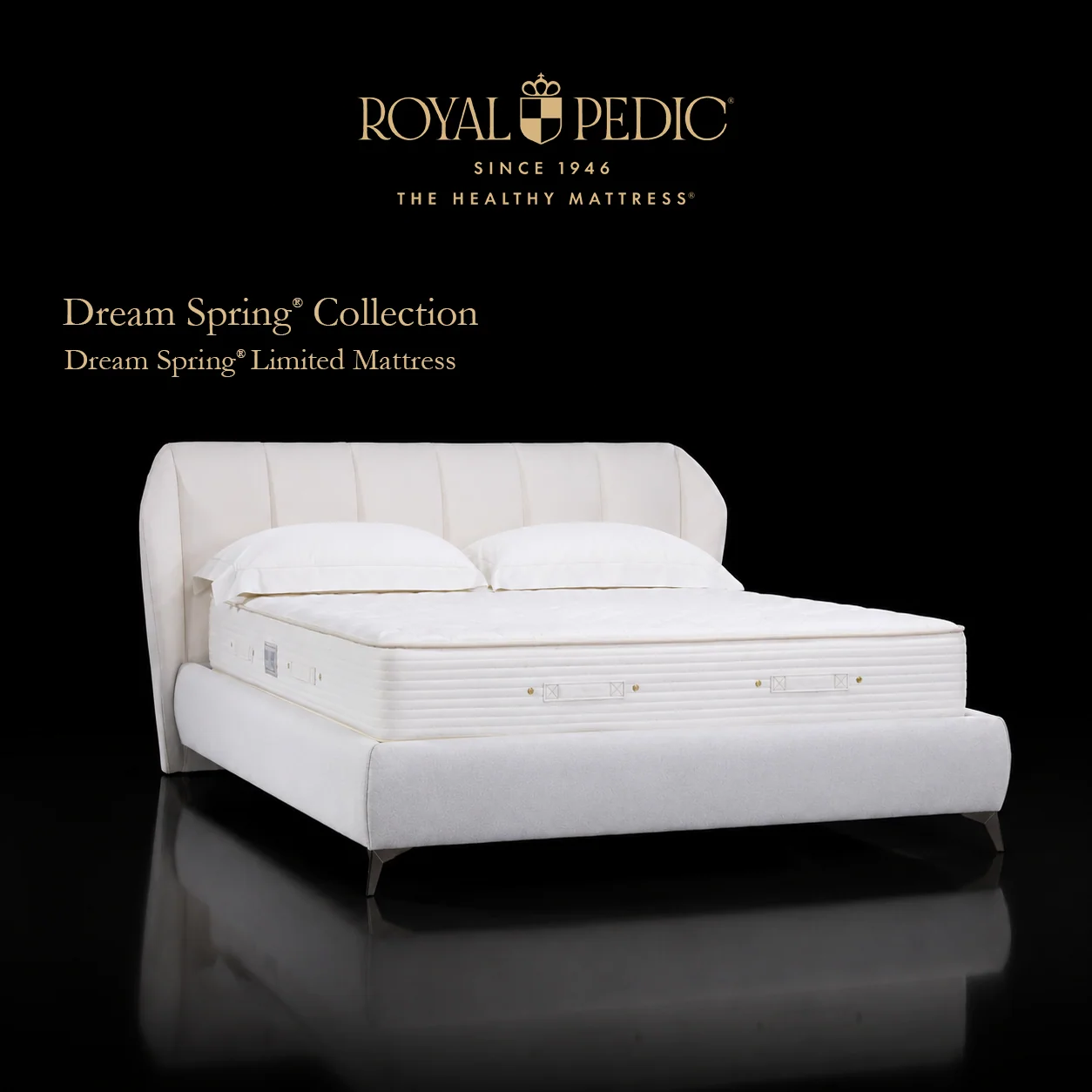 Dream Spring® Limited Mattress