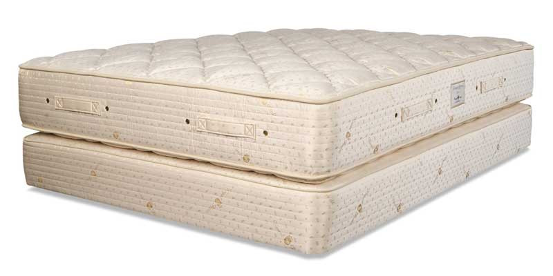 Dream Spring Mattress by Royal-Pedic