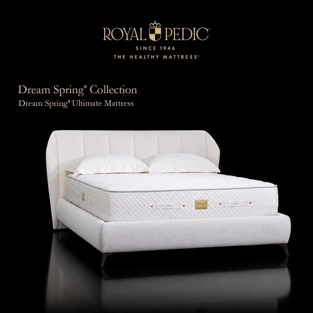 Dream Spring® Ultimate Mattress