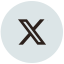 x icon