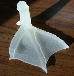 3D CAD Model of Buttercup foot