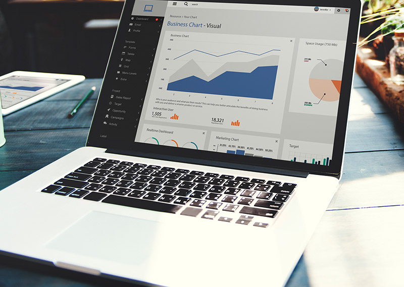 Fully Customized CBD Websites