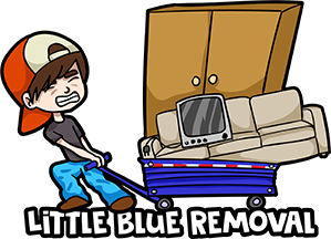 Little Blue Removal Logo
