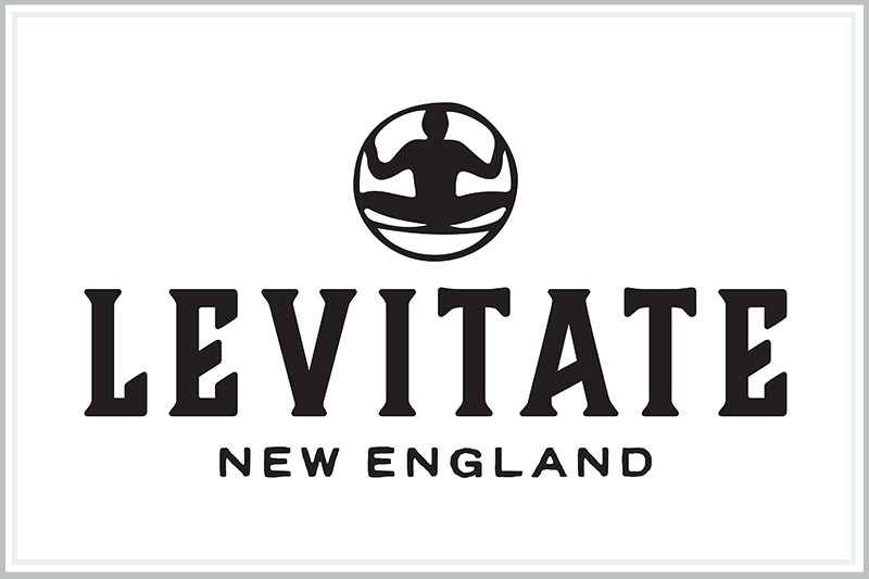 Levitate logo