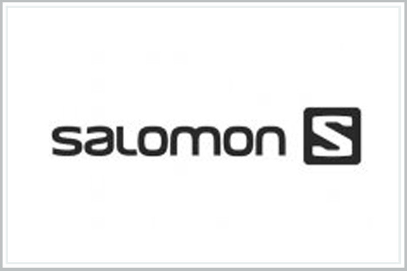 Salomon logo
