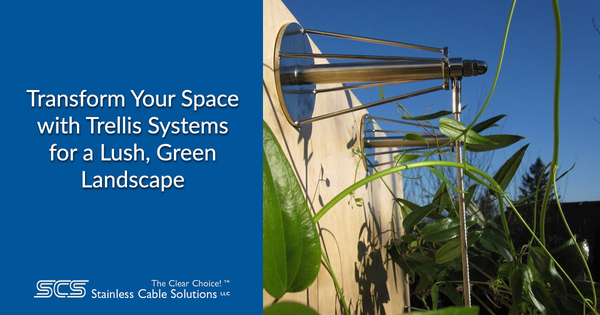 Transform Your Space with Trellis Systems for a Lush, Green Landscape