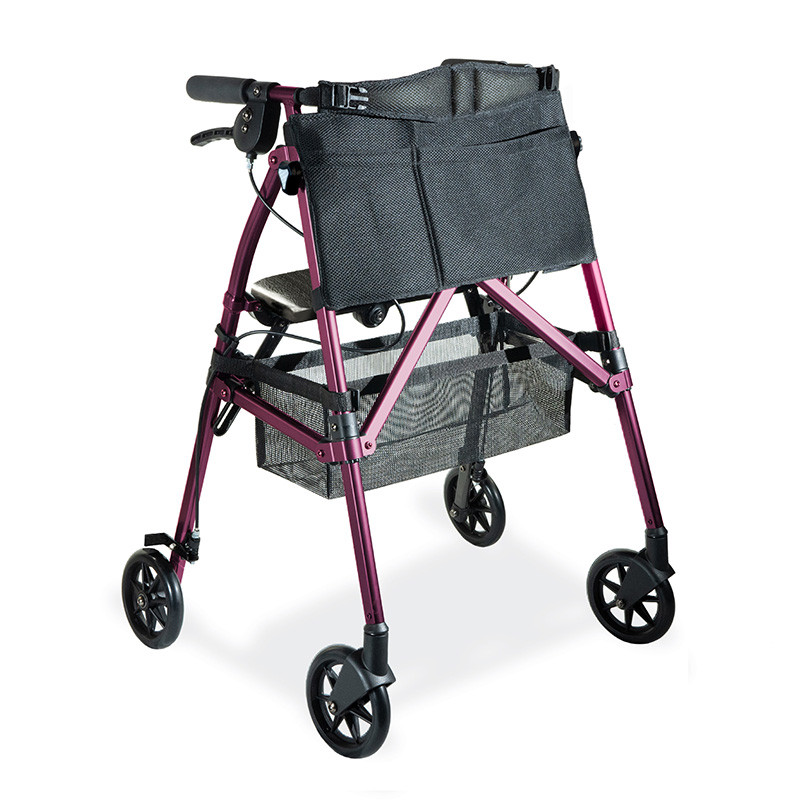 EZ Fold-N-Go Rollator