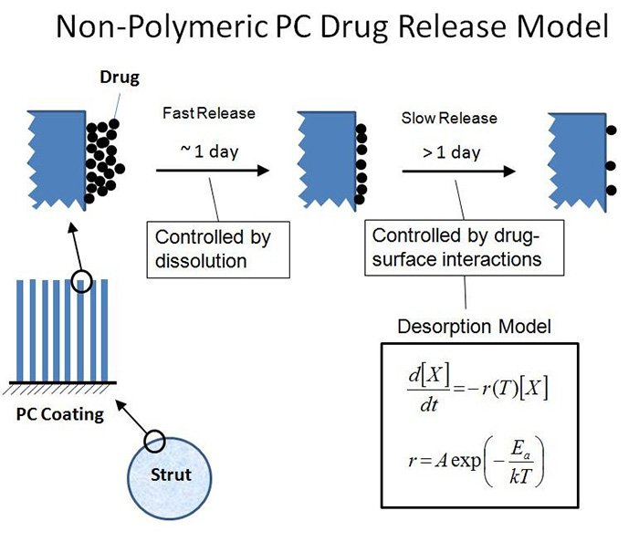 non polymeric PC drug release model