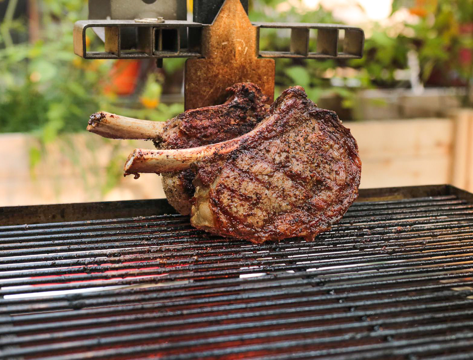 two t-bone steaks on a grill