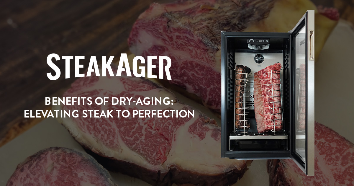 thumbnail with SteakAger product and raw beef in background