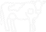 cow outline